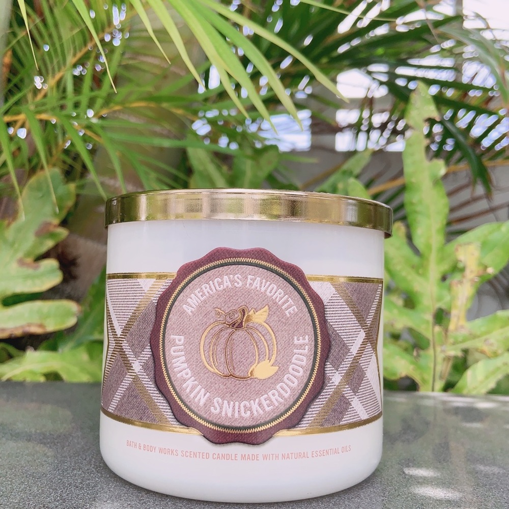 Bath and Body Works Pumpkin snickerdoodle candle